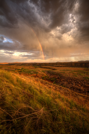 Rainbow Field Portrait