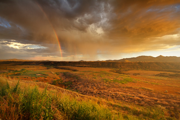 Field Trip rainbow