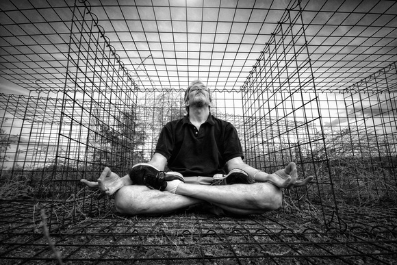 Zen in a Cage 2